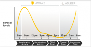 cortisol-graph