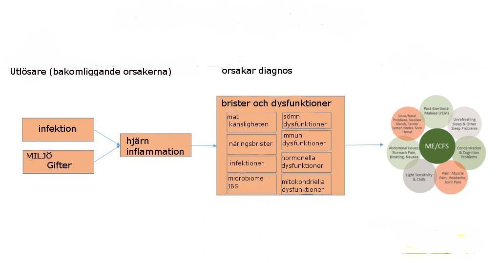 14425310_10154982401287971_1178500392092753601_o
