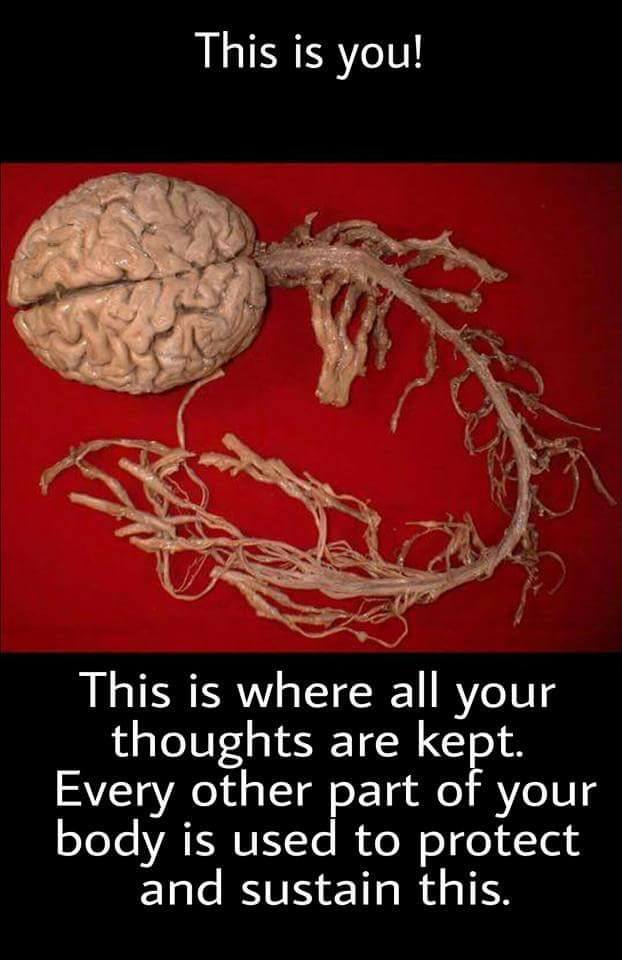 15134820_914130542051599_7051359722253201447_n