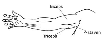 53c0b077ad78aef8e68faca41dfaee08